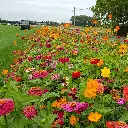 Aurora_10.09.19 vierkant.webp