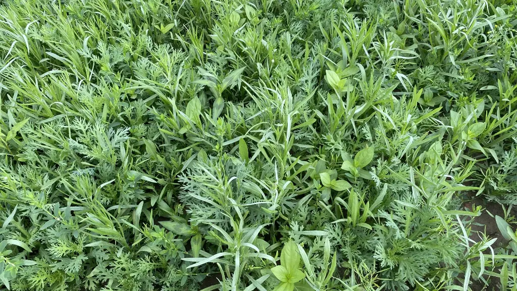 New Wave_22.6.2021 (2).webp