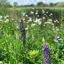 classic thuis 2022 (1).webp