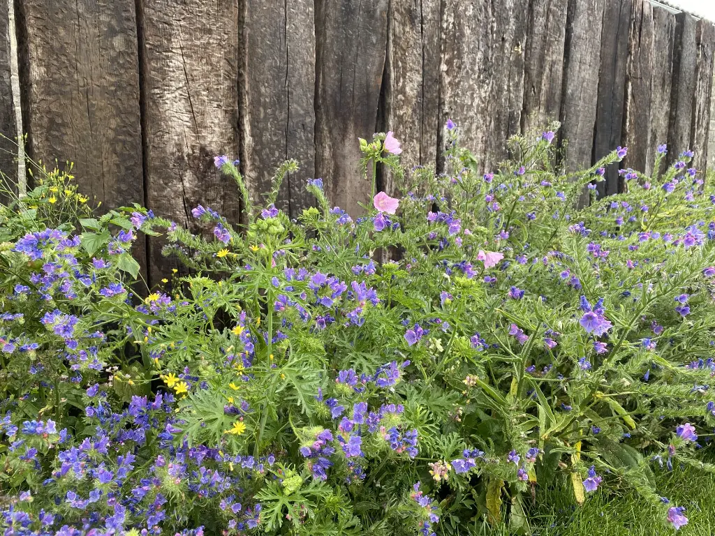 Foto 14-07-2020 12 26 35.webp