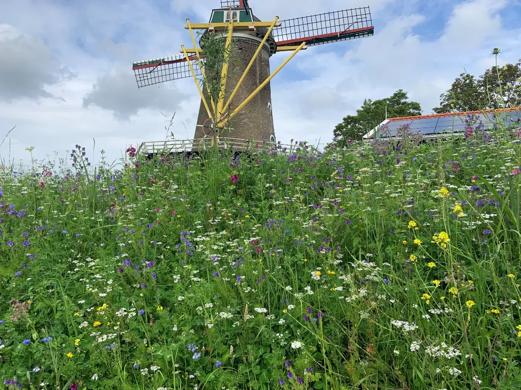 Sjenny van de Velde1.webp