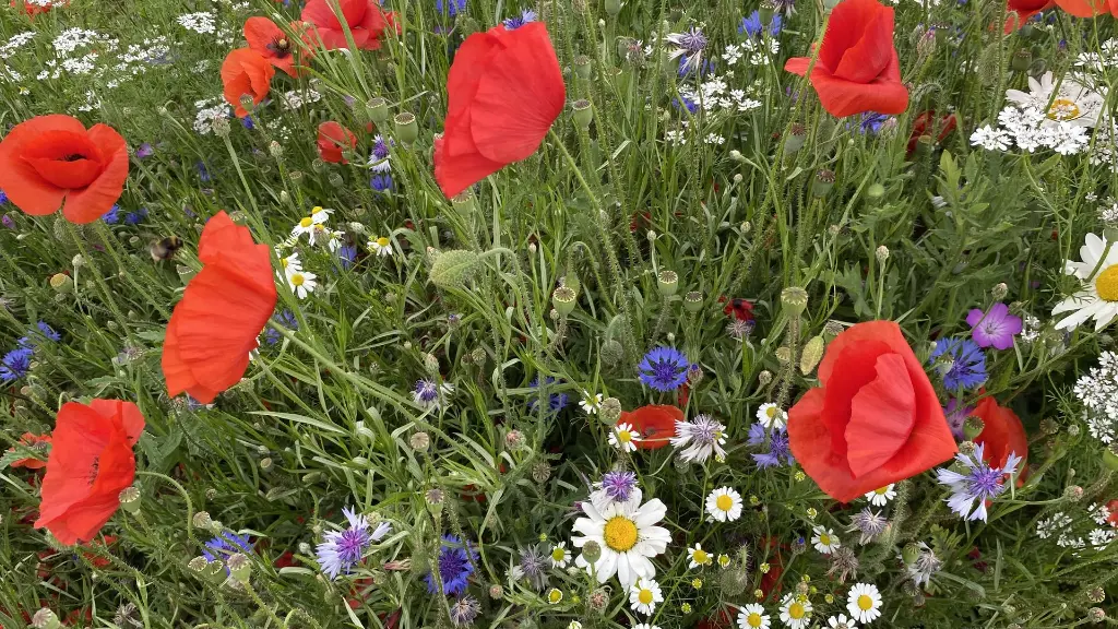 Buiten Bebouwde Kom_15.6.2021 (2).webp