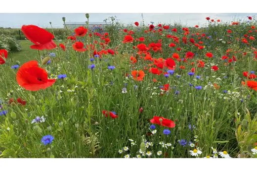 buiten bebouwde kom 2.webp