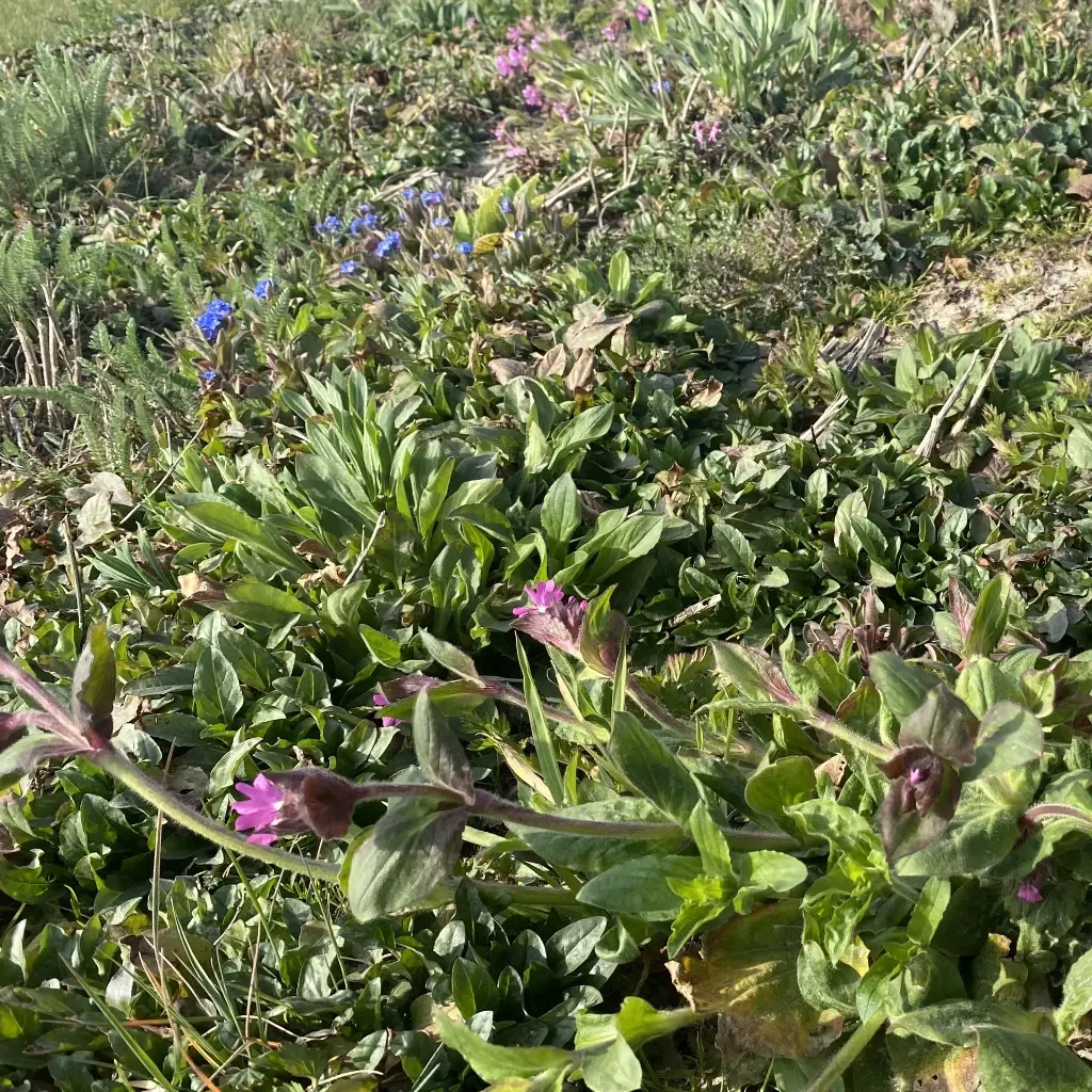 2022_0. Staygreen 10_30 maart (3) vierkant.webp