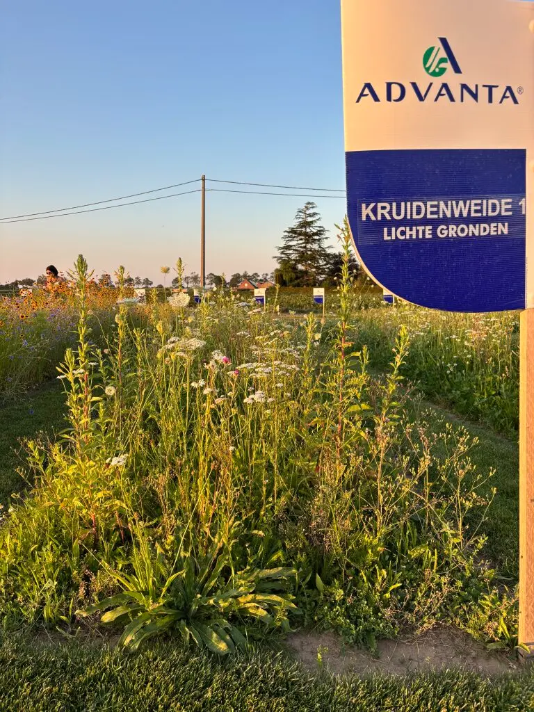 2026 Kruidenweide 1.webp