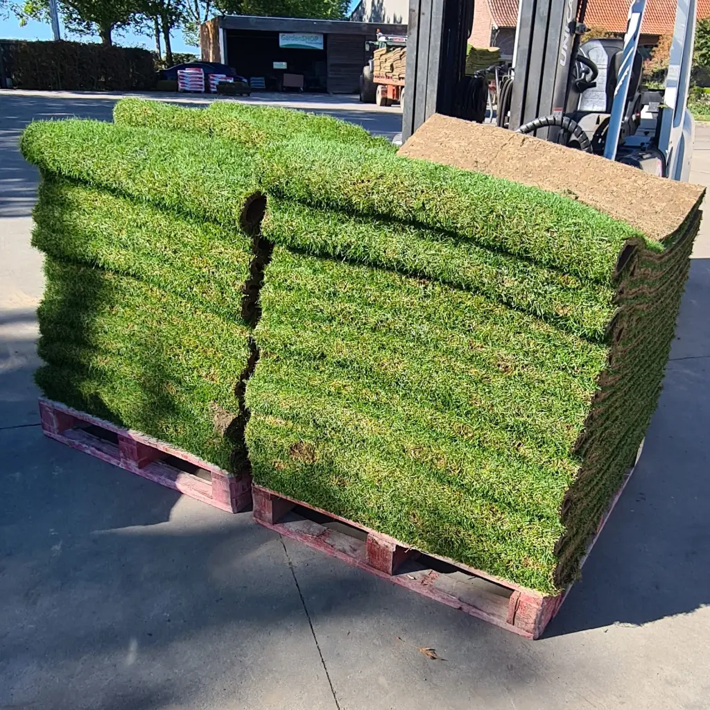Big-slabs heftruck 20221006_133430.webp
