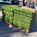 Big-slabs heftruck 20221006_133430.webp
