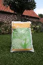 Multigreen Magic (2).webp