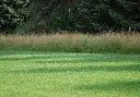 Off-Side - graszoden Lannoo.webp