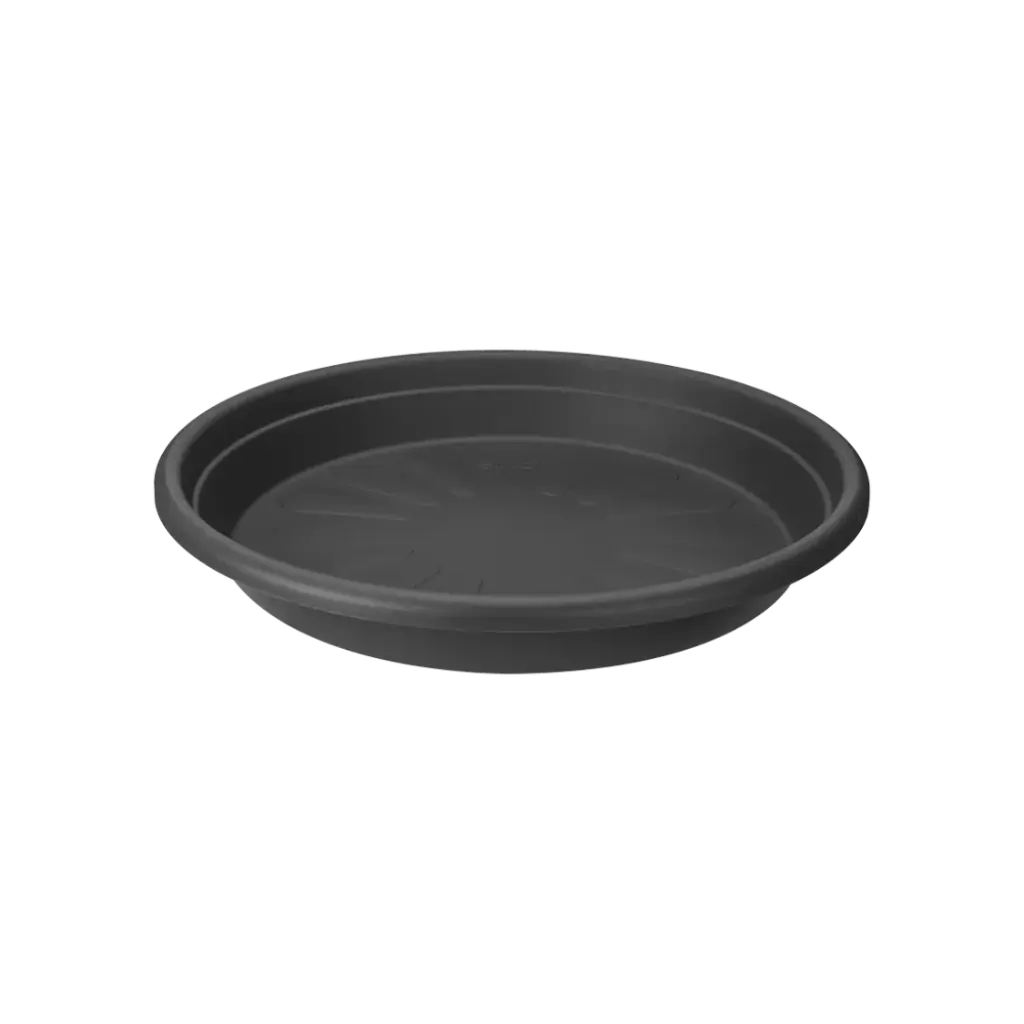 Afdekschotel Mollen Klem 