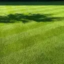 Graszoden Deluxe