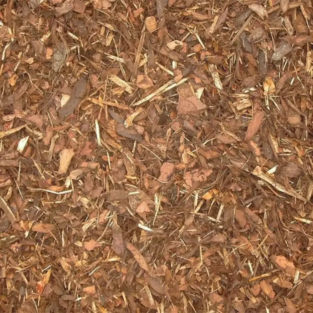 Boomschors Sylvester 15/25 