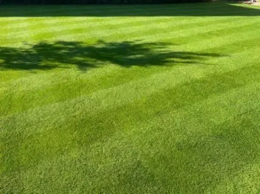 Graszoden Deluxe