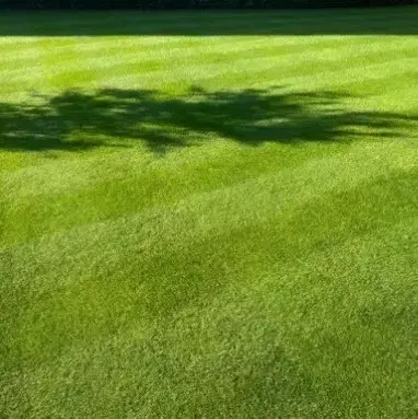 Graszoden Deluxe